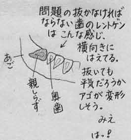 M2000/06/26
